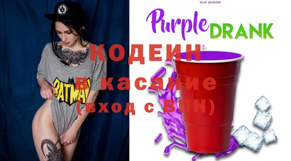 соль ск Инсар