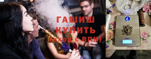 соль ск Инсар