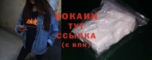 соль ск Инсар