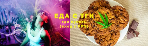 соль ск Инсар