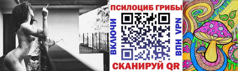 Купить закладки  Макаров  Галлюциногенные грибы Magic Shrooms 