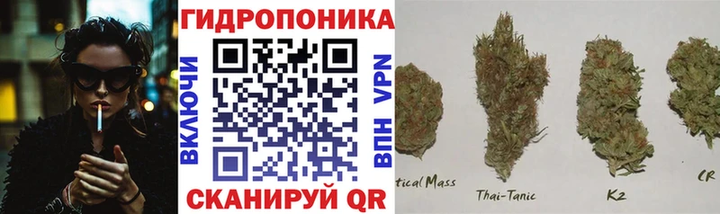 Конопля SATIVA & INDICA Макаров